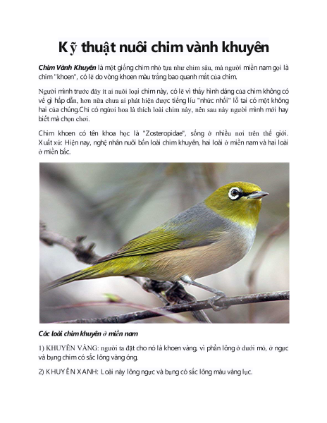 10 Điều cần biết khi nuôi chim Vành Khuyên - RUNGASIA.COM